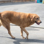 DSCN4928.jpg