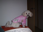 SHAINA disfrutando de la comodidad de su casa ¡¡