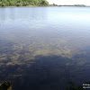 dsc02979.jpg