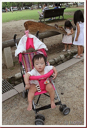 IMG_5227 IMG_5227