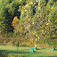 DSCF9212.JPG