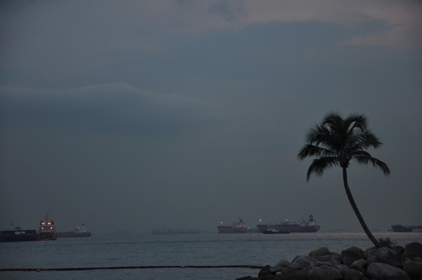 DSC_3287.JPG DSC 3287