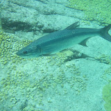 IMG_0583.JPG