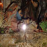 1531-8.JPG