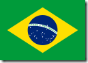 125px-Flag_of_Brazil.svg