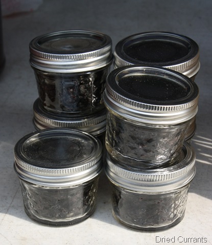 [dried%2520black%2520currant%252C%2520ray%2520tousey%252C%2520rhinebeck%2520farmers%2520market%255B7%255D.jpg]