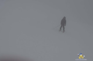 DSC_0334_1024x678.jpg