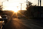 IMG_7463.jpg