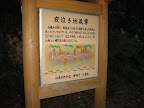 IMG_4857_512.JPG