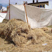 Albuera 1811-2011 PiotrZurek-570.jpg