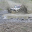 DSCF4295.jpg