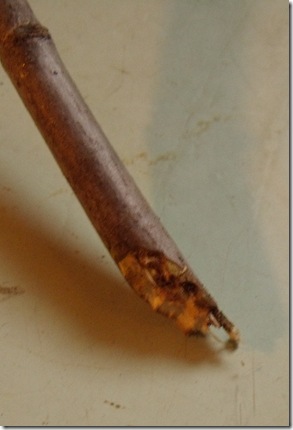 GEDC9047 GEDC9047
