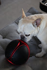 What game do you think you play with it?
