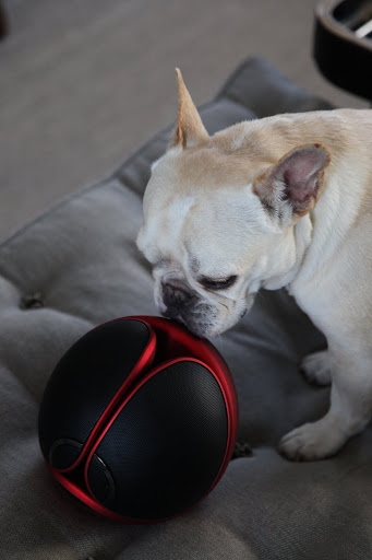 What game do you think you play with it?