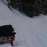 Mariandlalm - 3D