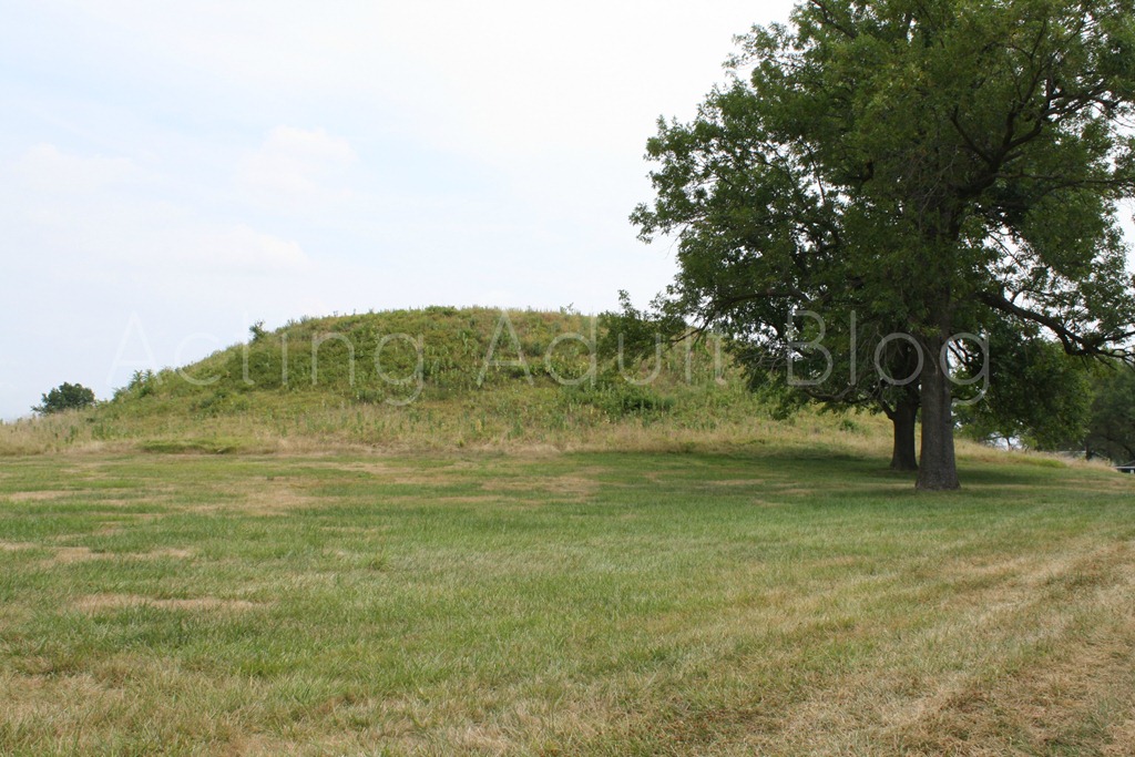 [Cahokia%2520Mounds%25205%255B5%255D.jpg]