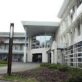 Cour