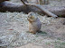 National Zoo in August