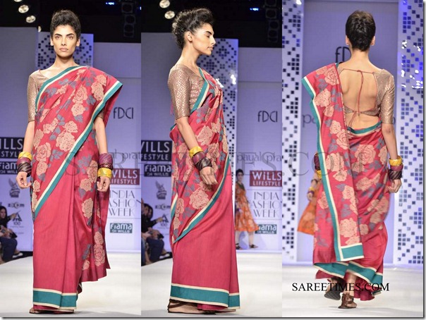 Payal_pratap_Saree (3)