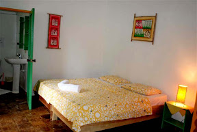 tarzan house - interni