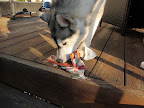 Then to my surprise mom found a Christmas gift that was under the tree for me and didn't open.
