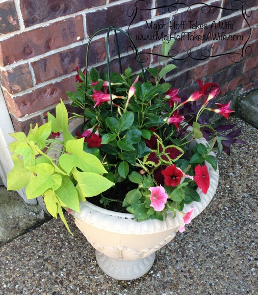 prettyflowerplanter.jpg planters to flank doors