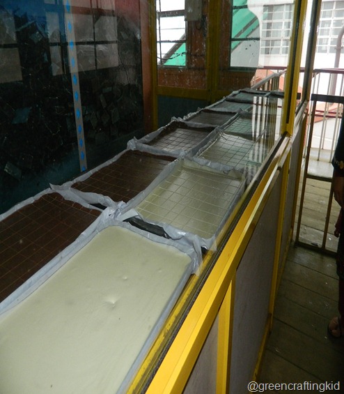 DSCN0409 DSCN0409