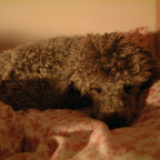 DSCF0034.JPG