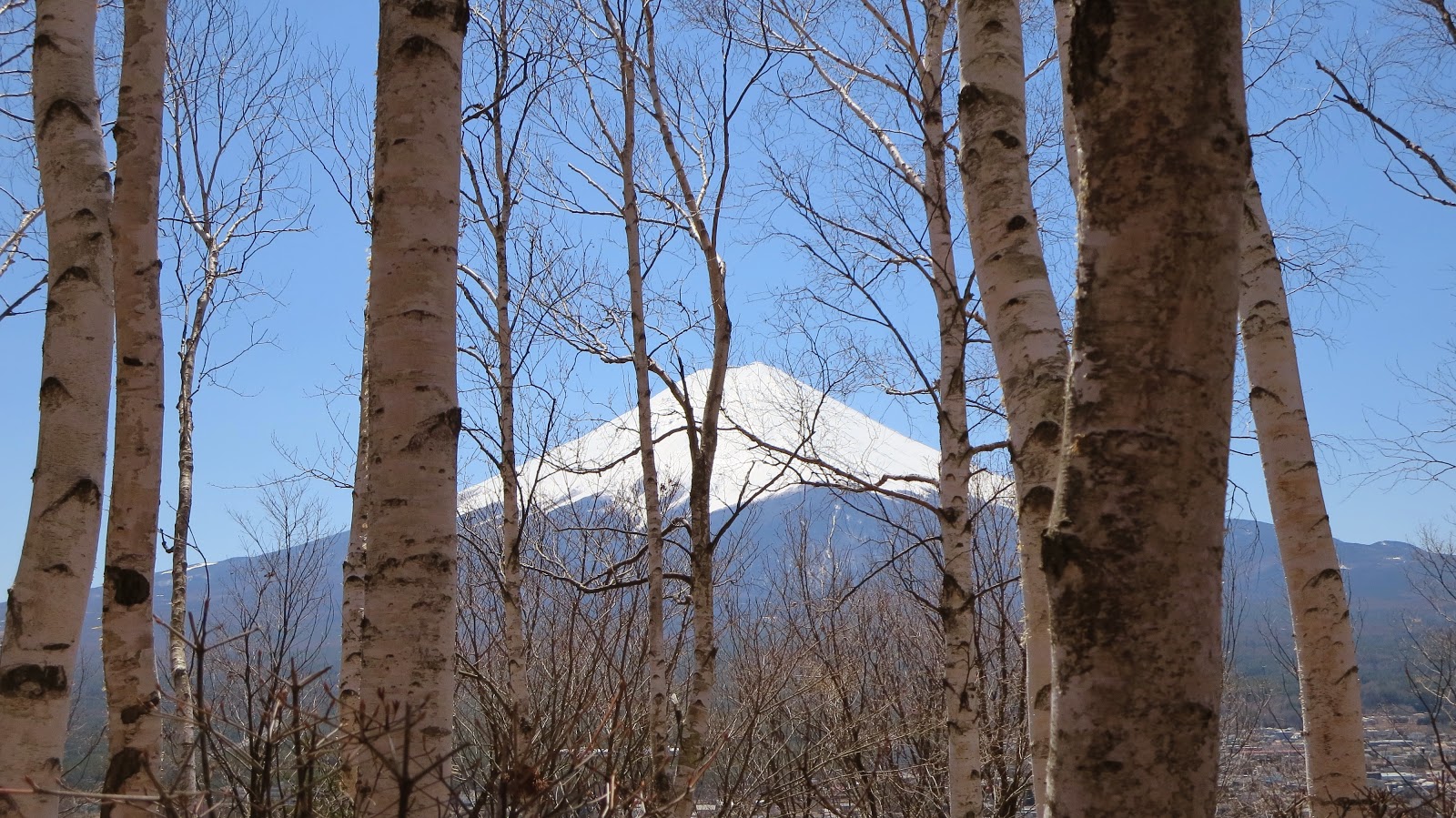 [IMG_0709%255B3%255D.jpg]
