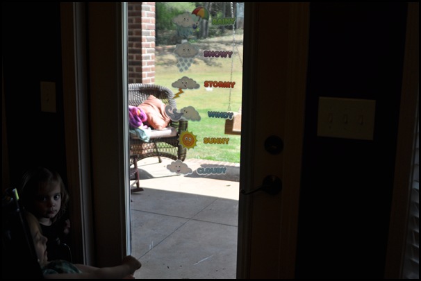 DSC_0893 DSC_0893