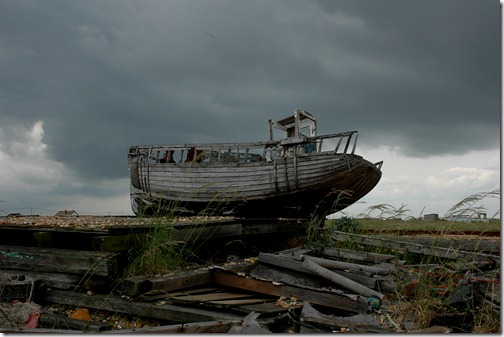 dungeness 073