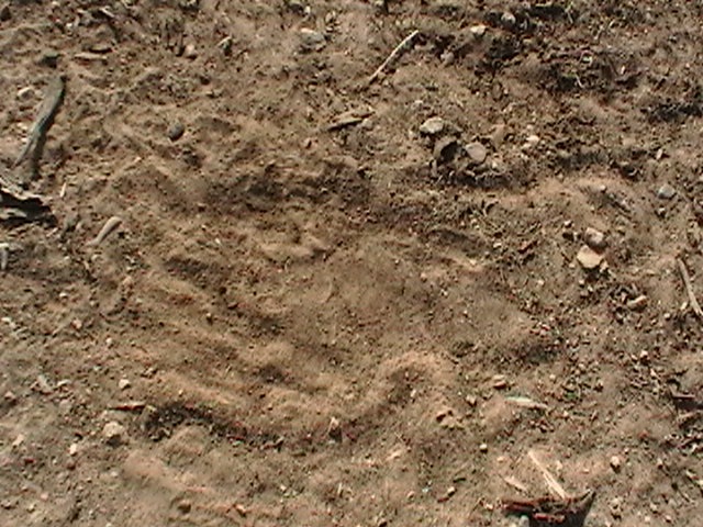 [IMGA06244.jpg]