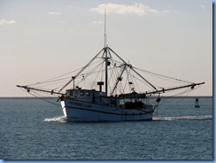 6993 Texas, South Padre Island - Osprey Cruises - Sea Life Safari  -  shrimper