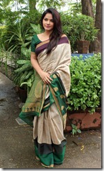 Beautiful Neetu Chandra Cute Saree Stills