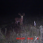 ICAM0018 (5).JPG