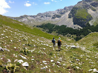 IMG_1545.JPG