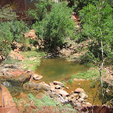 Emerald (nem tanto) Pool - Zion Canyon NP - Hatch, UT