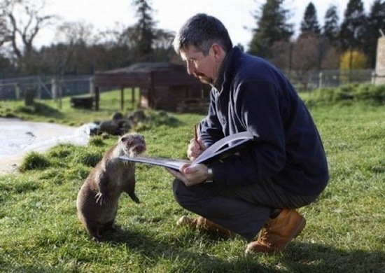 animals-and-humans_09