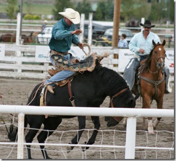 689 saddle bronc (640x583) 689 saddle bronc (640x583)