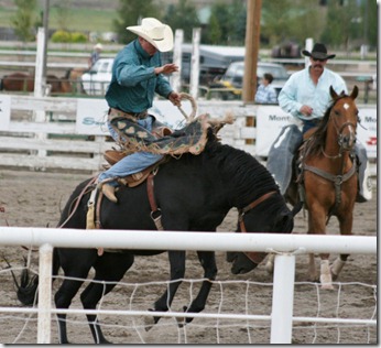 689 saddle bronc (640x583)