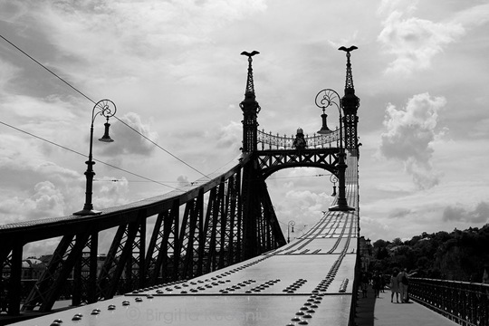 bridge_20110813_liberty1bw