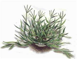 [crabgrass%255B3%255D.jpg]
