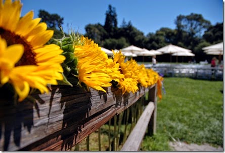 Wedding Sunflowers