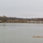 IMG_1291.JPG