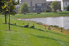 DSC_1972.JPG