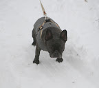 Sharkey, maybe you should show some restraint and stay on the plowed drive.