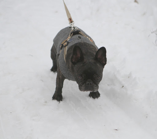 Sharkey, maybe you should show some restraint and stay on the plowed drive.