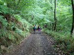 DSC01214.JPG