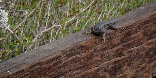 [20150313-DSC00329%255B4%255D.jpg]