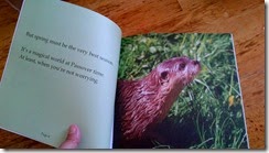 image from Otter Passover, by Jennifer Tzivia MacLeod